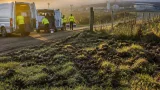 Regione Lazio: nella Tuscia prevista l’eliminazione preventiva di 11.837 cinghiali contro la Peste Suina