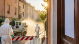 Registrato a Ferrara un secondo caso di Dengue: paziente in isolamento e disinfestazione
