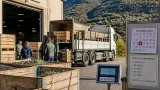 Riapre il frantoio provinciale: dal 16 ottobre riparte la campagna olearia in Valtellina