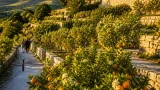 Rinato a Massignano il Giardino Storico degli Agrumi: patrimonio nazionale restituito alla comunità