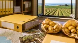 Siracusa avvia il percorso IGP per la «patata novella», colpite le filiere locali