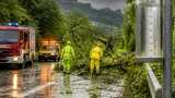 Temporale in transito: piogge intense e alberi caduti, attenzione a Sassofeltrio e aree interne
