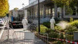 Trieste, caso di dengue: disinfestazioni intorno all'Ospedale Maggiore e avvio del protocollo