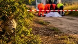 Uomo di 54 anni trovato morto a Loreto Aprutino: l'ipotesi è shock anafilattico da calabrone