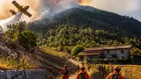 Vasto incendio sul Monte Amariana: fumo visibile in tutta la Carnia, minacciata un'azienda agricola