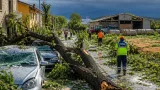 Vento e grandine nel Sannio: alberi sradicati, auto e aziende agricole danneggiate