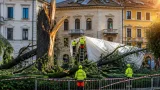 Vento e pioggia devastano Piazza dei Martiri a Belluno: uno storico cedro spezzato