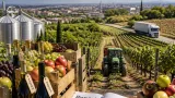 Verona guida l'agricoltura veneta: produzione e export in crescita, ma restano fattori di rischio