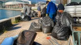 Volontari ripuliscono rive e quartieri: a Verbania raccolti oltre 120 kg di rifiuti
