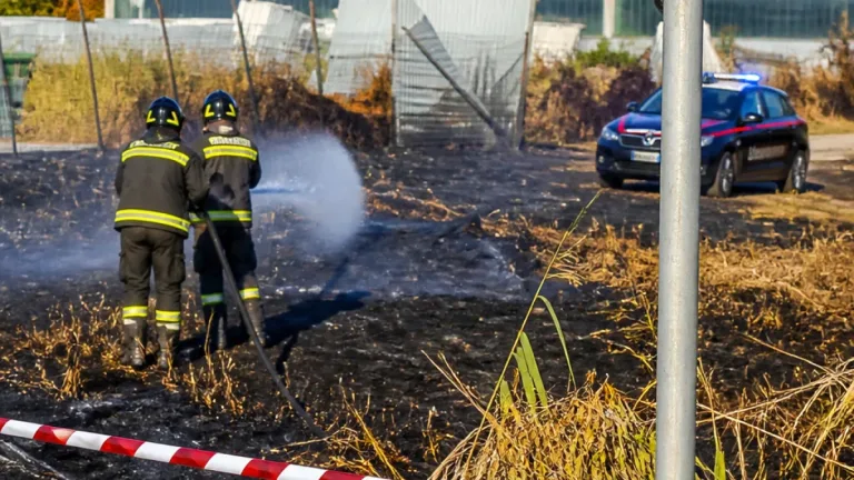 Arrestato a Jesolo il presunto piromane: 17.000 m² di vegetazione distrutti a Ceggia