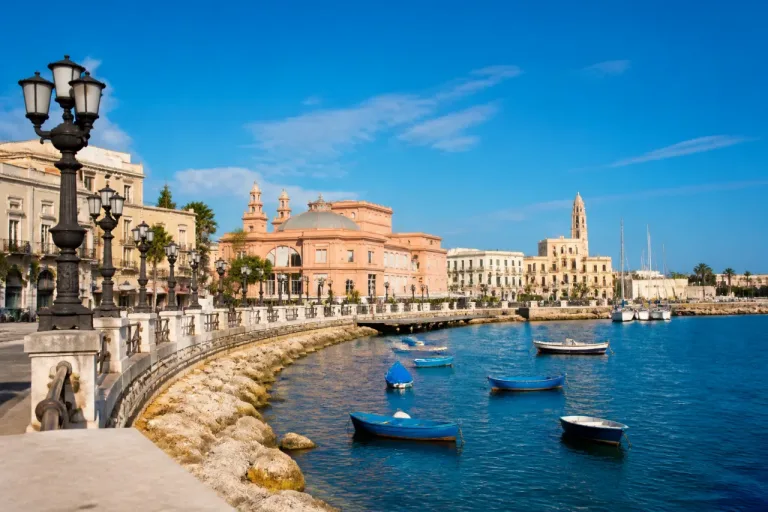 Bari, si insedia il Comitato di Garanzia sulla SSC Bari: "Risultati, non disfattismo"