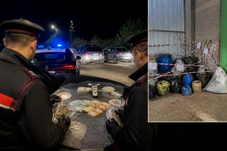 Controlli dei Carabinieri in provincia: denunce per droga, rifiuti e guida in stato d’ebbrezza