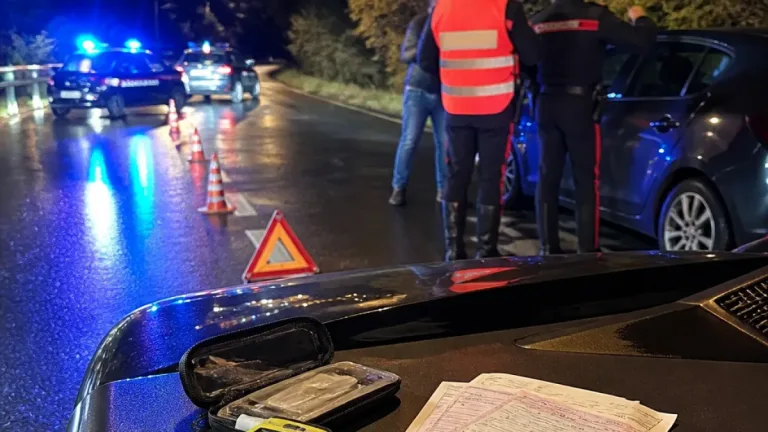 Controlli straordinari in Val di Taro: 115 veicoli e 128 persone verificati, denunce e sequestri
