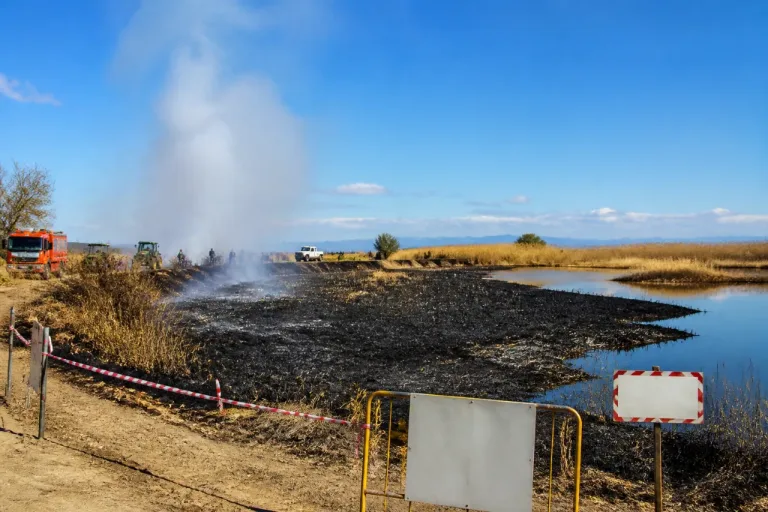 Foggia, nuova denuncia del WWF dopo l'incendio all'Oasi Lago Salso: chiesta svolta nella gestione