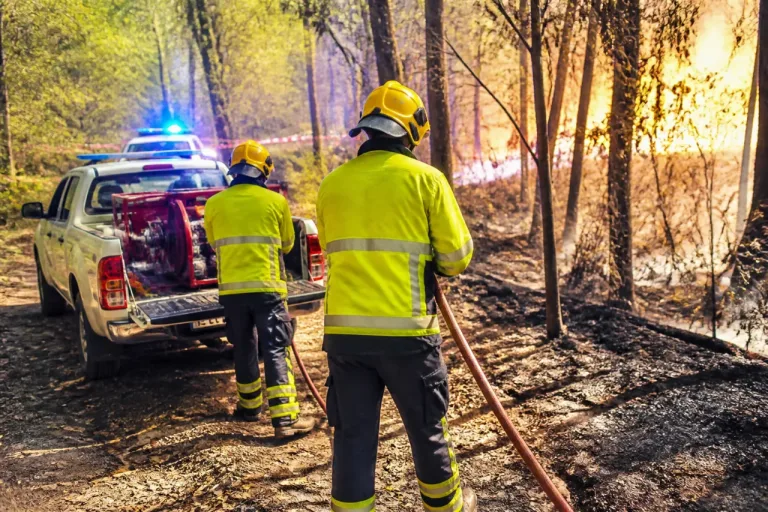 Incendio nei boschi di Mornago: bruciati 2.000 mq, interventi fino a mezzanotte