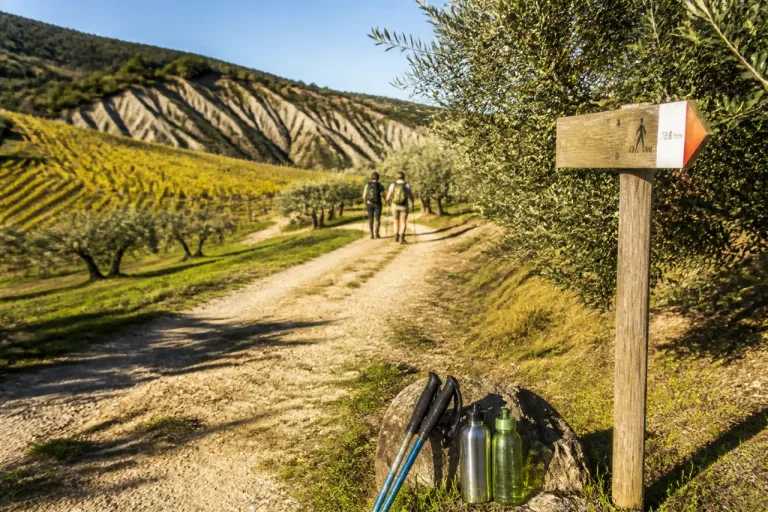 Itinerario Settefonti–San Martino in Pedriolo: 18,8 km tra colline, vigneti e calanchi
