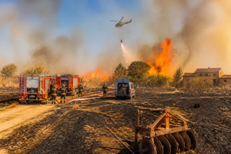 Nuova ondata di incendi nei pressi di Latina: vigili del fuoco e volontari in azione