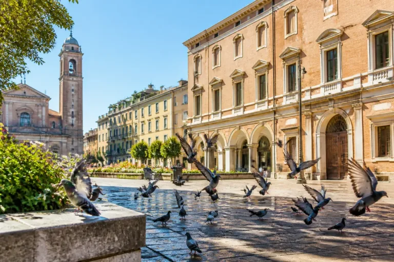 Pesaro, stretta su piccioni e decoro: più controlli a piazza Redi e progetto triennale