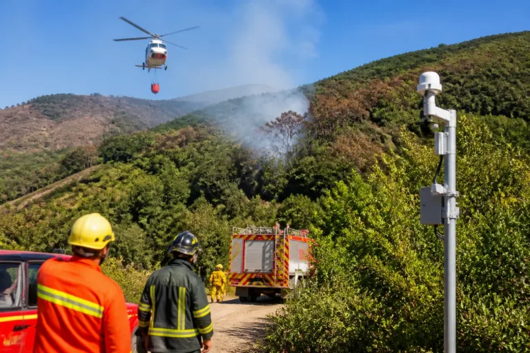 Prato, incendio a Cerreto: rilevato dall’AI, elicotteri e squadre in campo