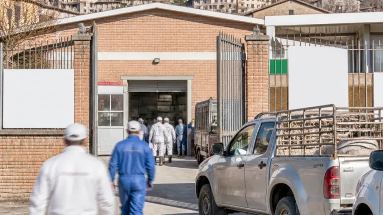 Riapre il mattatoio di Sefro: il Pd accusa Parcaroli, a rischio il ruolo di Macerata