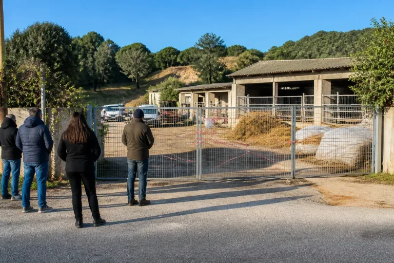 Sassari, il Tar respinge il ricorso: niente allevamento intensivo di suini a Caniga