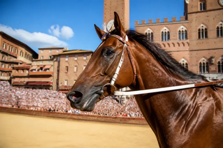 Siena, trionfo Aquila al Palio: Tittia fa 12 con Diodoro dopo 34 anni