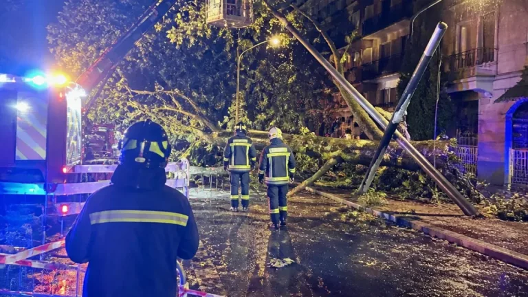 Tempesta in provincia: Forlì-Cesena la più colpita, oltre 100 interventi dei vigili del fuoco