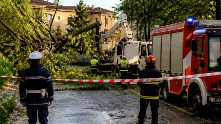 Temporale nella notte: grosso albero cade su via d'accesso e isola circa 100 persone