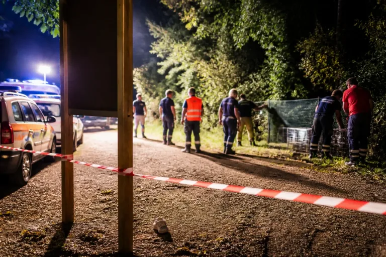Terni, bambina di 4 anni aggredita da un lupo ad Arrone: attivata una task force