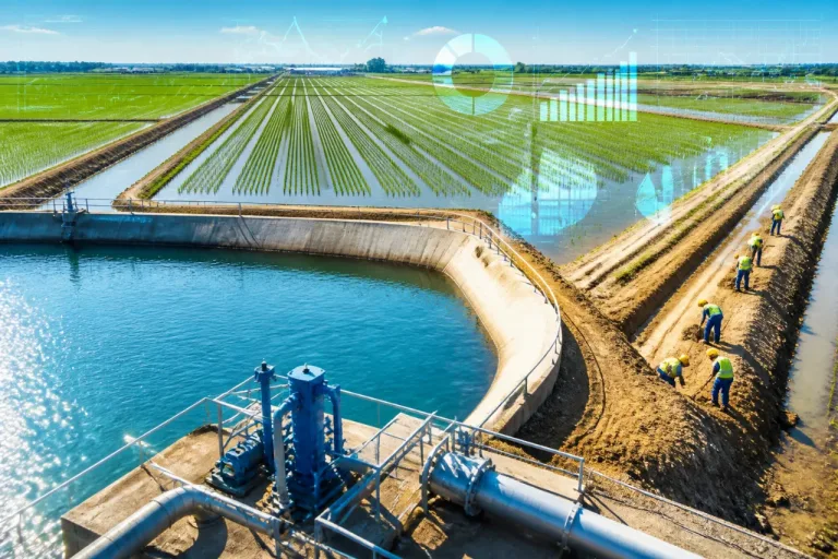 Vercelli e la crisi idrica: Coldiretti chiede sinergia e nuovi sistemi di accumulo