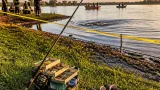 71-year-old Winter Garden man killed by alligator while fishing at Lake Apopka shoreline