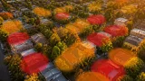 AI analysis shows large share of Colorado homes remain exposed to wildfire fuels despite new state code