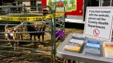 Baby goats at mobile petting zoo test positive for rabies; officials seek anyone who had contact