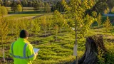 Casper named Wyoming’s 2026 Urban & Community Forestry Program of the Year