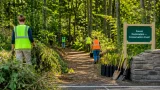 Cincinnati parks get $1.8M boost to restore forests at French Park