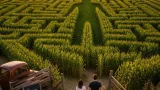 Evansville farm’s Charlie Kirk corn maze sparks backlash, raises free-speech debate