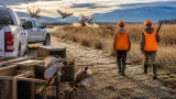 FWP to release about 2,500 pheasants statewide ahead of youth hunting weekend