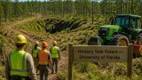 Gainesville-area Hickory Sink Forest to become UF teaching forest after 2,660-acre acquisition