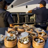 Smuggled weight‑loss drugs flood Brazil as deaths, complications mount