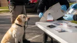 KY AG’s K-9 Charity helps find hidden phones, aids child exploitation probes