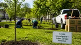 Manchester to add 500 trees with $2.2M federal grant aimed at expanding urban canopy