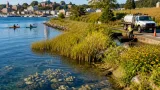 Maryland reports meeting nearly all Chesapeake Bay pollution targets, sets sights on 2040 goals