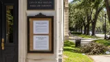 New Orleans fires Parks and Parkways director after council criticism, interim leaders named
