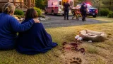 Northern California couple seriously injured; pet dog dies after cinnamon bear attack