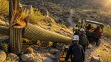 Scottsdale hiker critically injured after saguaro toppled onto trail; rescue crews respond