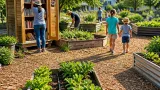 Shreveport community garden in Mooretown grows food, learning and connection