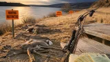 South Dakota limits deer hunting, offers refunds after spike in EHD-related deaths