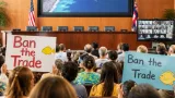 State board pauses decision on reopening aquarium fish collecting after hours of public testimony