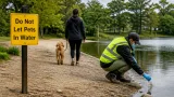 Stoughton probes dog’s death after Ames Pond swim, warns residents to keep pets out