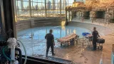 Two beluga whales die after arriving at Chicago’s Shedd Aquarium; investigations underway